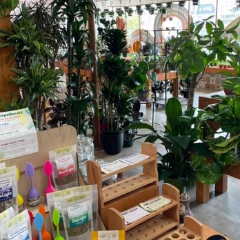Plantiitas - Home Decor Near Me - Long Beach, California Plantiitas - Home Decor Near Me - Long Beach, California