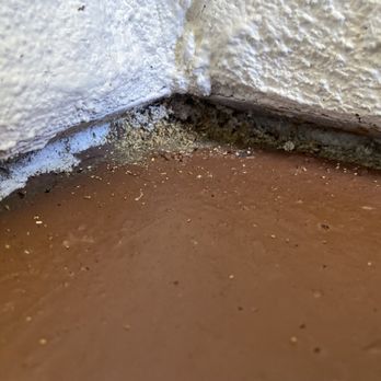 Lloyd Pest & Termite Control - Termite droppings! - Pest Control Near Me - San Marcos, California Lloyd Pest & Termite Control - Termite droppings! - Pest Control Near Me - San Marcos, California