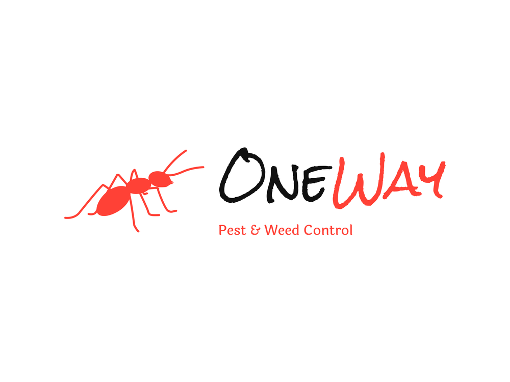 ONE WAY PEST & WEED CONTROL albuquerque, New Mexico Pest Control