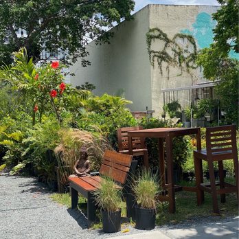 Midtown Garden Center - Seating area - Nurseries & Gardening Near Me - Miami, Florida Midtown Garden Center - Seating area - Nurseries & Gardening Near Me - Miami, Florida