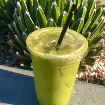 Talitha Coffee - Iced 'Draggin Matcha' next the outdoor succulent - Coffee Roasteries Near Me - San Diego, California Talitha Coffee - Iced 'Draggin Matcha' next the outdoor succulent - Coffee Roasteries Near Me - San Diego, California