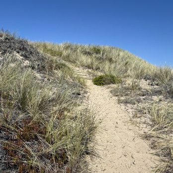 Pescadero State Beach - Beaches Near Me - Pescadero, California