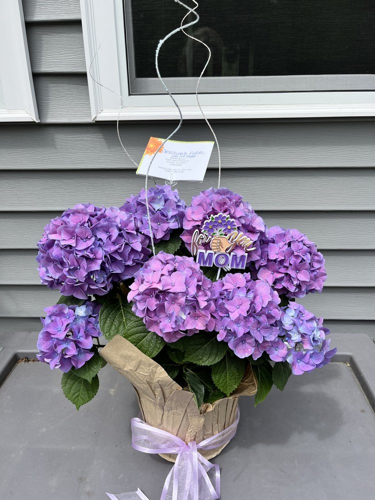 Chesterland Floral Boutique