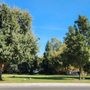 Photo of Dry Creek Park
