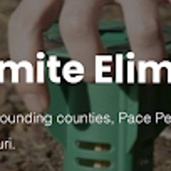 Pace Pest Control - Pest Control Near Me - Paducah, Kentucky Pace Pest Control - Pest Control Near Me - Paducah, Kentucky