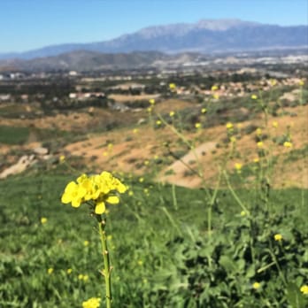 Sycamore Canyon Wilderness Park - Awesome - Parks Near Me - Riverside, California Sycamore Canyon Wilderness Park - Awesome - Parks Near Me - Riverside, California