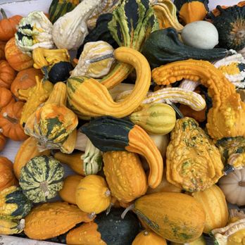 Applecrest Farm Orchards - Fruits & Veggies Near Me - Hampton Falls, New Hampshire
