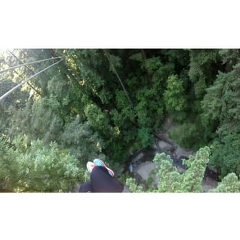Mount Hermon Adventures - Through the redwoods - Challenge Courses Near Me - Mount Hermon, California Mount Hermon Adventures - Through the redwoods - Challenge Courses Near Me - Mount Hermon, California