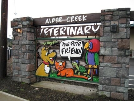 Inspiring Alder Creek Veterinary Battleground Pictures