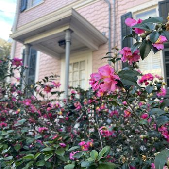 Two Chicks Walking Tours - Such a pretty area - Walking Tours Near Me - New Orleans, Louisiana