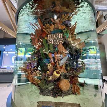 High Seas - Cannabis Dispensaries Near Me - Costa Mesa, California High Seas - Cannabis Dispensaries Near Me - Costa Mesa, California