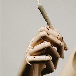Simple Pure CBD - CBD Pre-Rolls