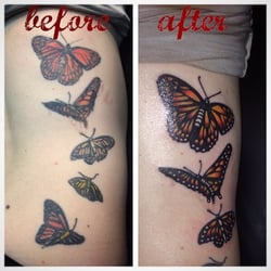 A Touch of Color - A touch up....actually a complete redo on their butterflies
