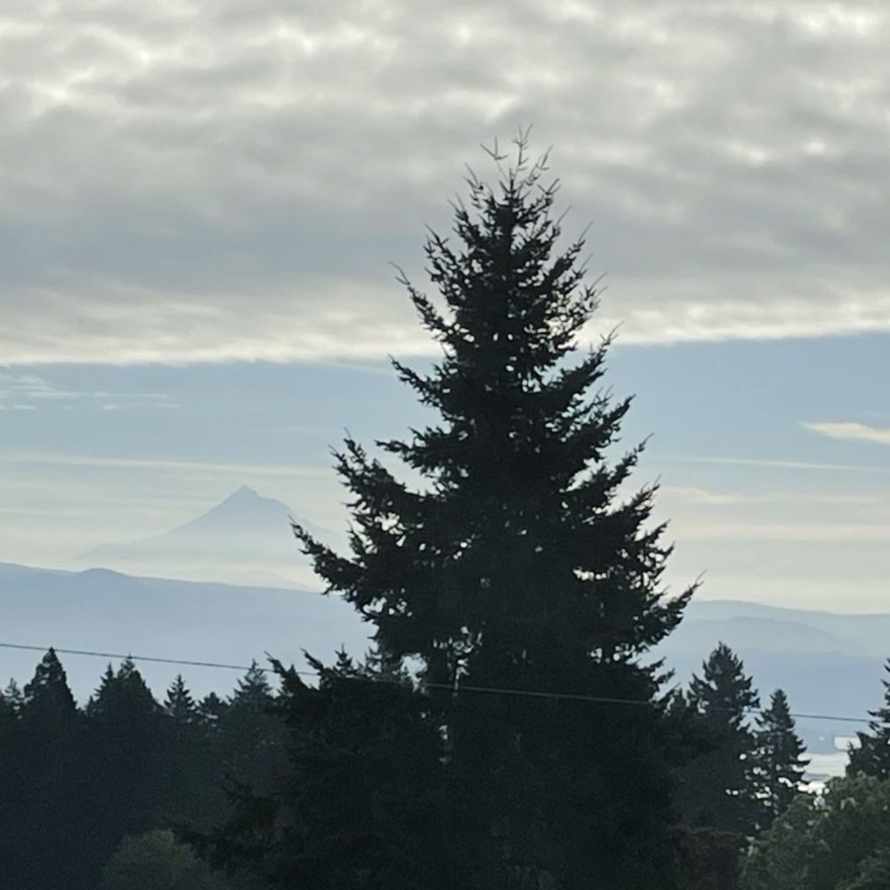 Samsara Tree Care - Tree Services Near Me - Washougal, Washington Samsara Tree Care - Tree Services Near Me - Washougal, Washington