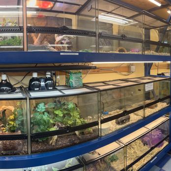 Pet Station - Truckee - Pet Stores Near Me - Truckee, California Pet Station - Truckee - Pet Stores Near Me - Truckee, California