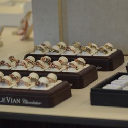 Jared the Galleria of Jewelry - Photos from a Levian Show in 2016