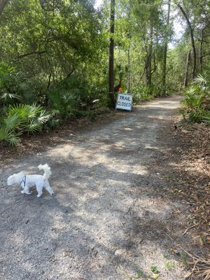 Shingle Creek Regional Park by null