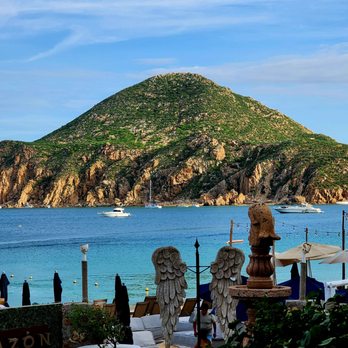 Aleta - Seafood Near Me - Cabo San Lucas, BCS Aleta - Seafood Near Me - Cabo San Lucas, BCS