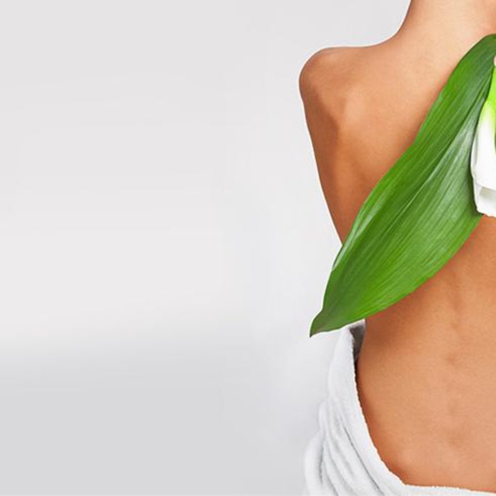 THE BEST 10 Acupuncture near BROCKTON, MA 02301 - Last Updated January 2024  - Yelp