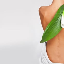 Patz Chiropractic