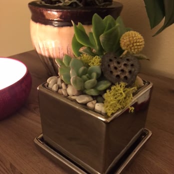 Potted - Succulent arrangements by Christine - Home Decor Near Me - Los Angeles, California