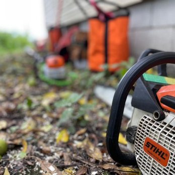 Sweet Carolina Tree Care - Tree Services Near Me - Hickory, North Carolina Sweet Carolina Tree Care - Tree Services Near Me - Hickory, North Carolina