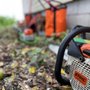 Sweet Carolina Tree Care