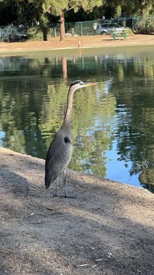 Laguna Lake Park by null