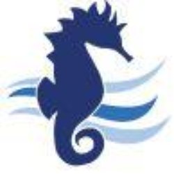 Seahorse Resort Motel & Cottages