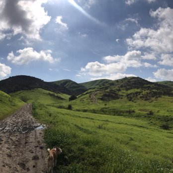 El Scorpion Canyon Park - Beautiful - Hiking Near Me
