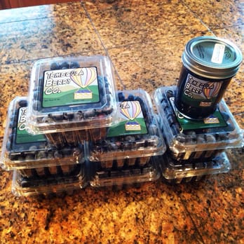 Temecula Berry - Picked just a few berries today :-) Yum! & the jam is delicious as well! - Farms Near Me - Temecula, California Temecula Berry - Picked just a few berries today :-) Yum! & the jam is delicious as well! - Farms Near Me - Temecula, California