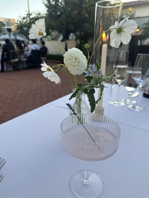 Darlington House by null