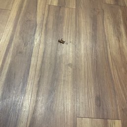 A Roach A Roach