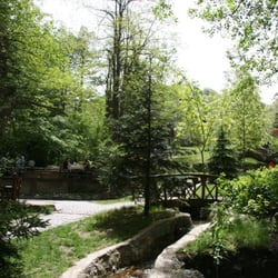 İstanbuldere Alabalık Evi