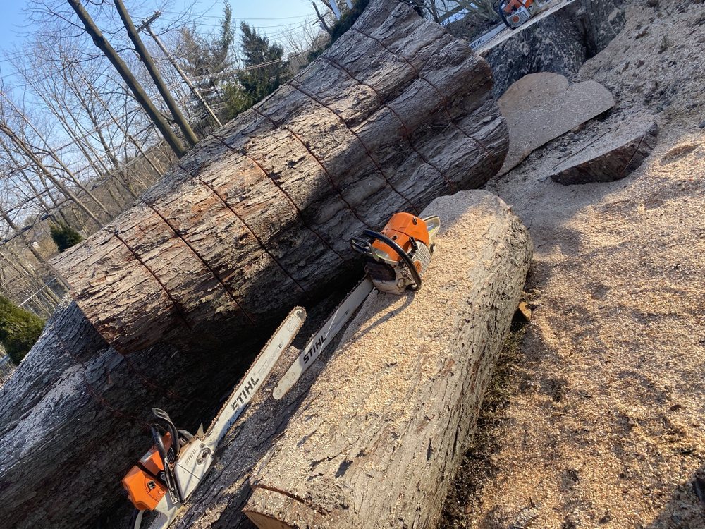 MARCO SNOW REMOVAL AND GARDENING SERVICE 15 Photos Mount Vernon