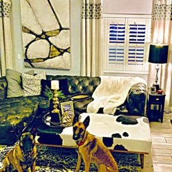 Furniture Palace