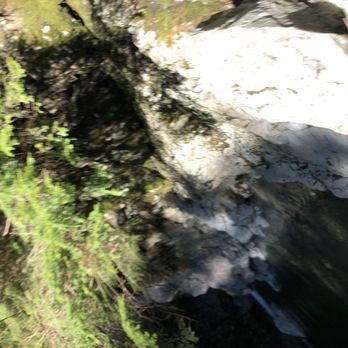 Lynn Canyon Park - Parks Near Me - North Vancouver, British Columbia