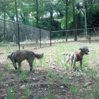 North Augusta bark park - Best friends, always near by each other. - Dog Parks Near Me - North Augusta, South Carolina North Augusta bark park - Best friends, always near by each other. - Dog Parks Near Me - North Augusta, South Carolina