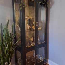 Our taxidermy cabinet!