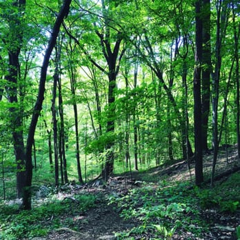 Silver Lake Preserve - Parks Near Me - Harrison, New York