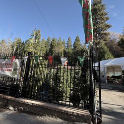 Four Seasons Garden Center