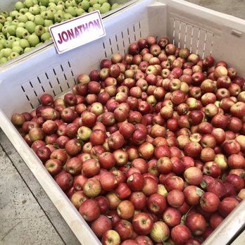O'Halloran's Apple Trail Ranch - Indulging my fresh fruit craving... - Farmers Market Near Me - Camino, California