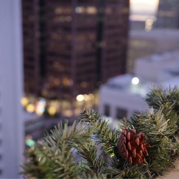 Floor 13 Rooftop Bar - a pine cone on a window sill - Cocktail Bars Near Me - Phoenix, Arizona