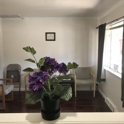 Lishuitang TCM Clinic - Waiting room