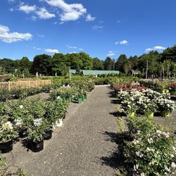 Corliss Bros Nursery & Garden Center