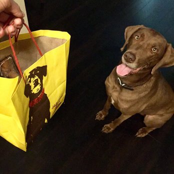 Hollywood Feed - Goodie bags - Pet Stores Near Me - Austin, Texas