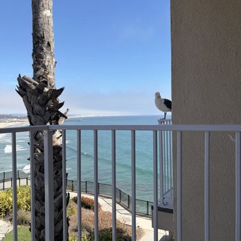 Pacific Point Resort, Formerly Shore Cliff Hotel - View from the room - Hotels Near Me - Pismo Beach, California Pacific Point Resort, Formerly Shore Cliff Hotel - View from the room - Hotels Near Me - Pismo Beach, California