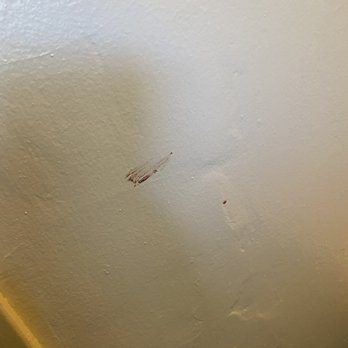 Sierra Lodge - Blood smeared on the wall - Hotels Near Me - Three Rivers, California Sierra Lodge - Blood smeared on the wall - Hotels Near Me - Three Rivers, California