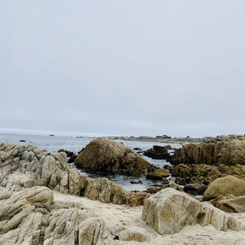 Asilomar State Beach - Parks Near Me - Pacific Grove, California Asilomar State Beach - Parks Near Me - Pacific Grove, California