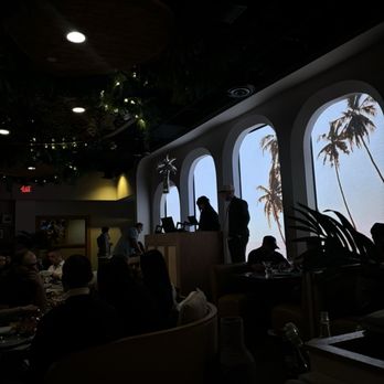 PALM TREE CLUB - Updated August 2025 - 187 Photos & 47 Reviews - 9101